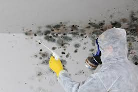 Best Asbestos and Lead Testing During Mold Inspection  in Rock Hall, MD